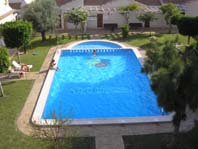 Communal Pool
